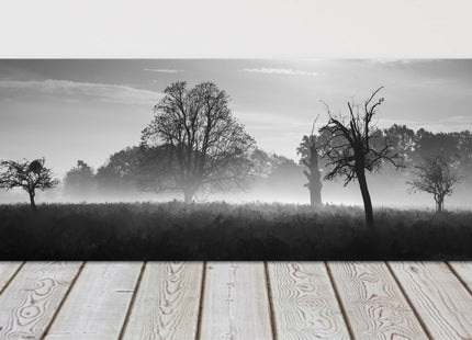 Black and white image of a foggy countryside. Panoramic canvas picture print.