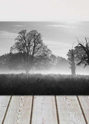 Black and white image of a foggy countryside. Panoramic canvas picture print.