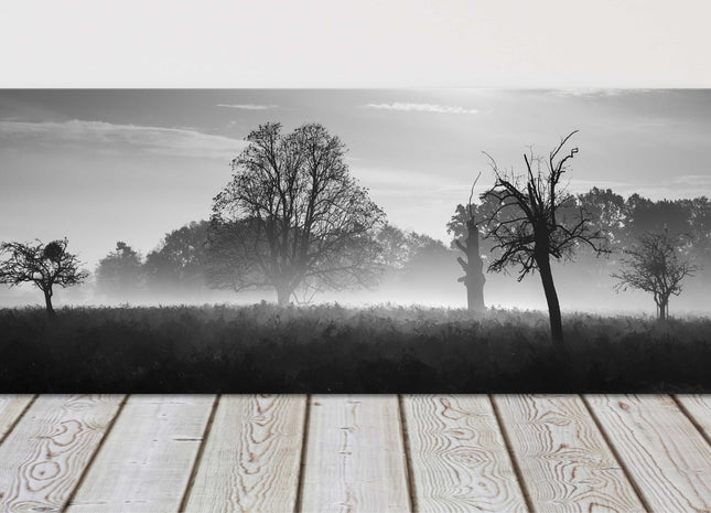 Black and white image of a foggy countryside. Panoramic canvas picture print.