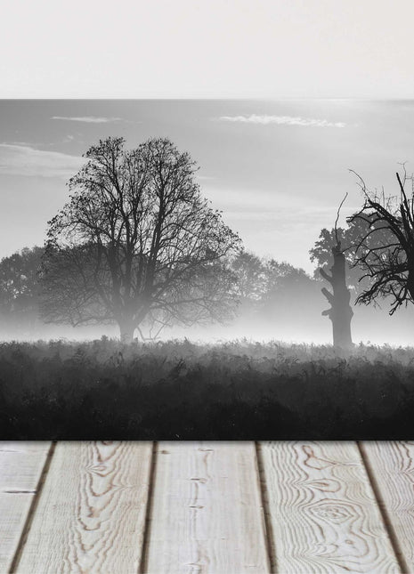 Black and white image of a foggy countryside. Panoramic canvas picture print.