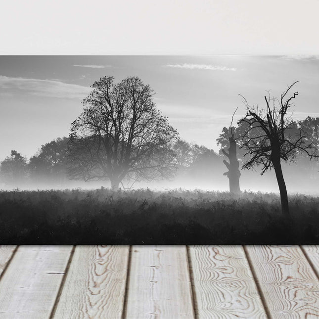 Black and white image of a foggy countryside. Panoramic canvas picture print.