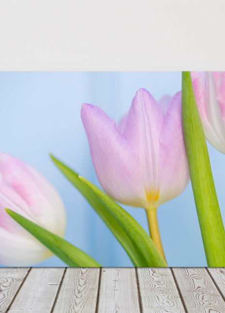 Pink Tulips. Beautiful springtime flowers. Canvas picture print