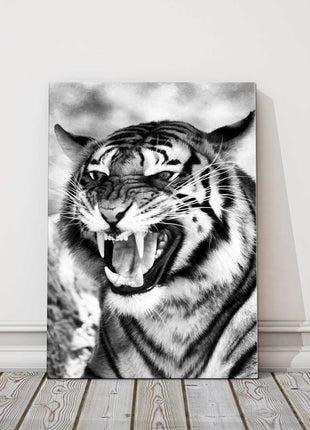 Fierce Tiger. Black and white image. Wildlife image. Canvas picture print.