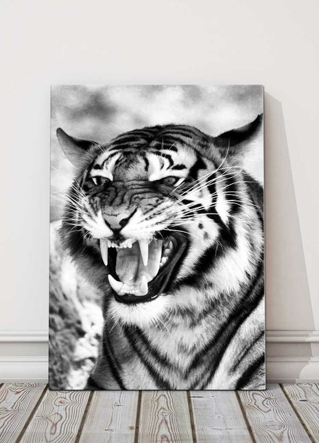 Fierce Tiger. Black and white image. Wildlife image. Canvas picture print.