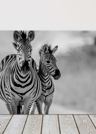 Zebra and baby black and white canvas picture print wildlife safari landscape