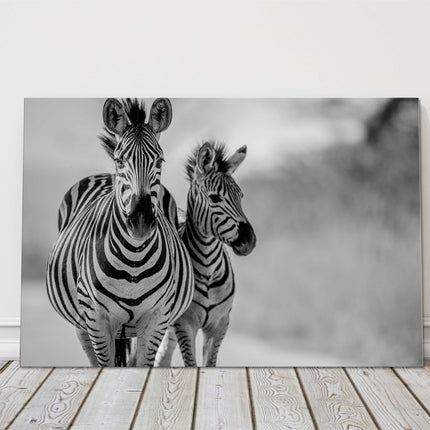Zebra and baby black and white canvas picture print wildlife safari landscape