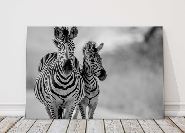 Zebra and baby black and white canvas picture print wildlife safari landscape