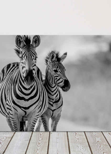 Zebra and baby black and white canvas picture print wildlife safari landscape
