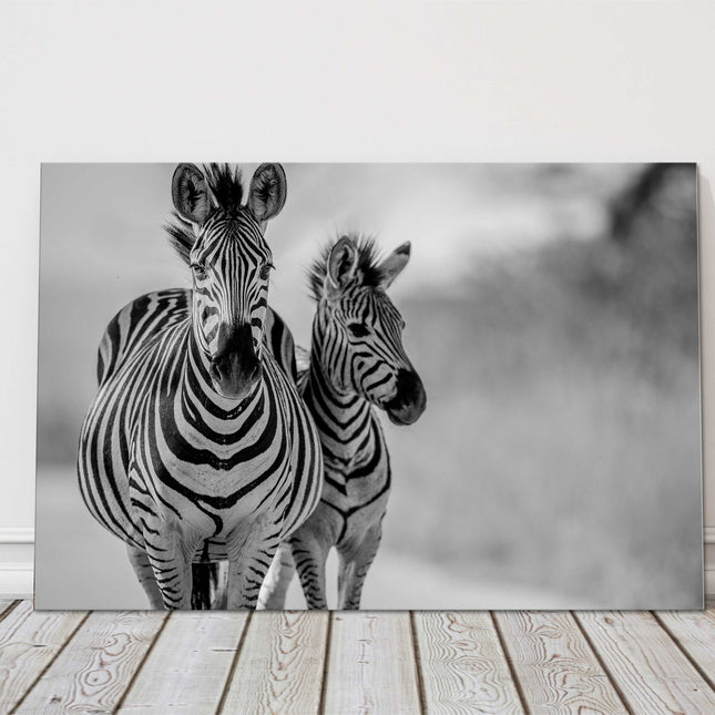 Zebra and baby black and white canvas picture print wildlife safari landscape