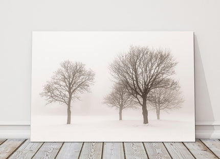 Trees in the mist. Snowy winter scene. Printed and framed as a canvas picture.