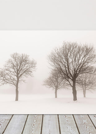 Trees in the mist. Snowy winter scene. Printed and framed as a canvas picture.