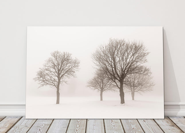 Trees in the mist. Snowy winter scene. Printed and framed as a canvas picture.