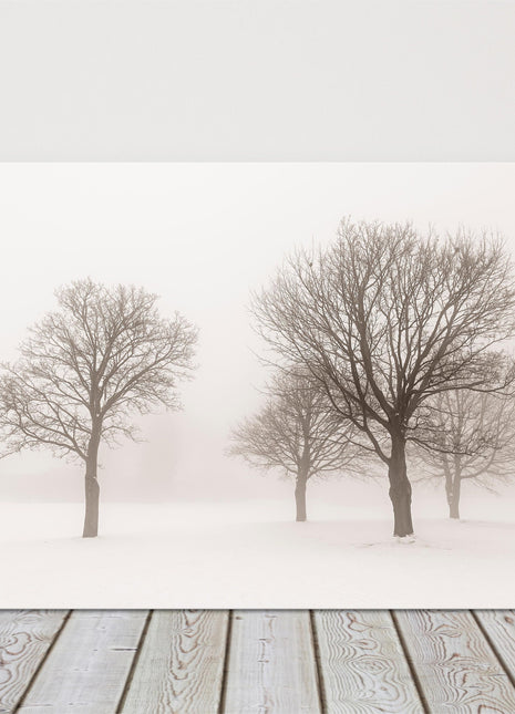 Trees in the mist. Snowy winter scene. Printed and framed as a canvas picture.