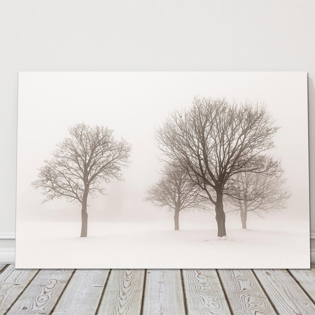 Trees in the mist. Snowy winter scene. Printed and framed as a canvas picture.