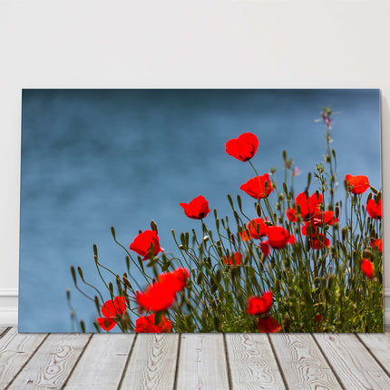 Wild Red Poppies by the sea. Canvas picture print
