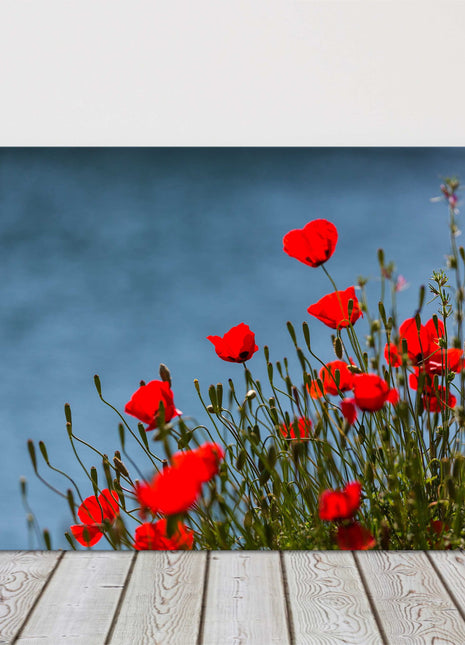 Wild Red Poppies by the sea. Canvas picture print
