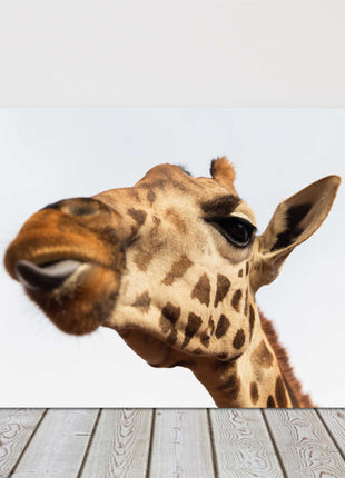 Giraffe, sticking tongue out. Funny canvas picture print