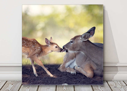 Deer with fawn. Wildlife image. Canvas picture print. Choice of sizes available.