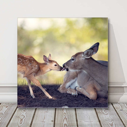 Deer with fawn. Wildlife image. Canvas picture print. Choice of sizes available.
