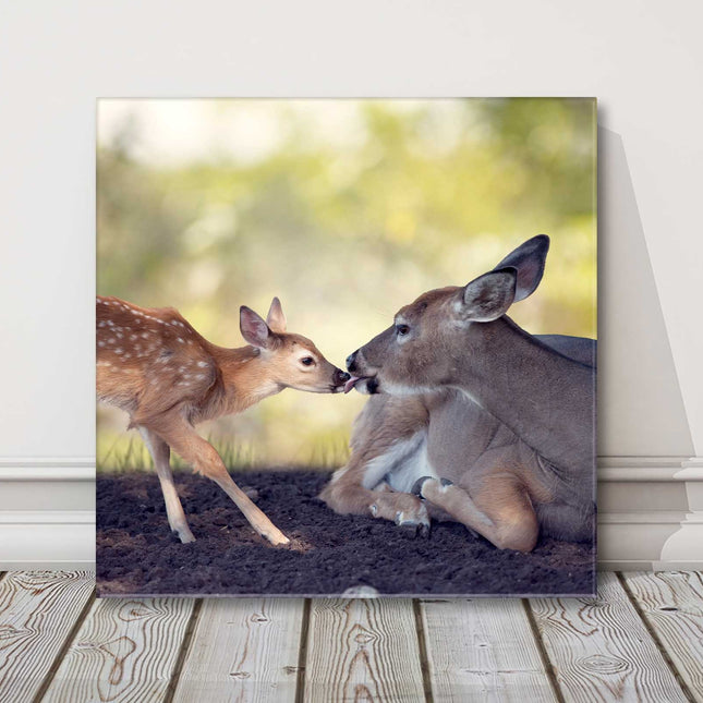 Deer with fawn. Wildlife image. Canvas picture print. Choice of sizes available.