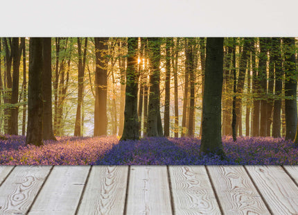 Bluebell forest in the morning sunlight, panoramic canvas picture print