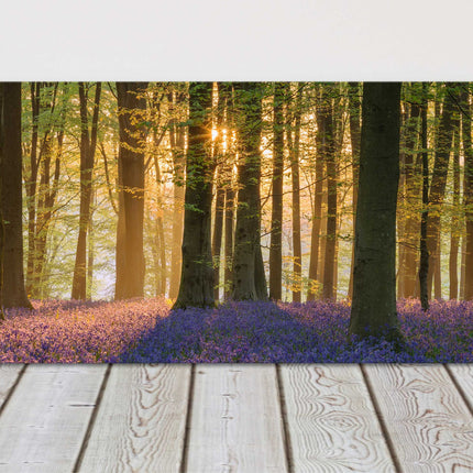 Bluebell forest in the morning sunlight, panoramic canvas picture print