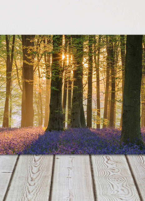 Bluebell forest in the morning sunlight, panoramic canvas picture print
