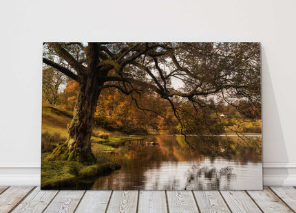 Autumnal Tree over a lake at sunrise. Canvas Picture Print.