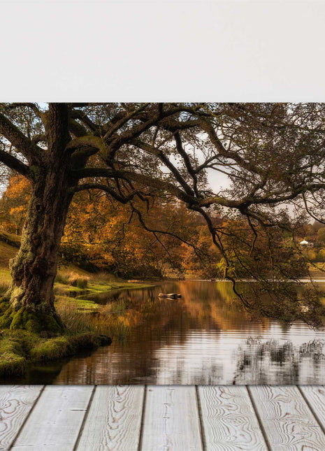 Autumnal Tree over a lake at sunrise. Canvas Picture Print.