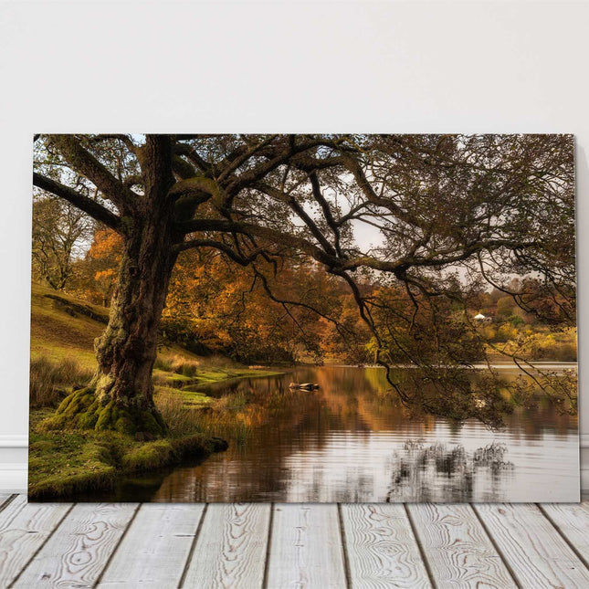 Autumnal Tree over a lake at sunrise. Canvas Picture Print.