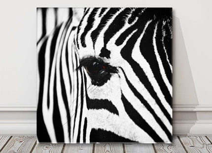 Zebra. Black and white canvas picture print Monochrome wall art.