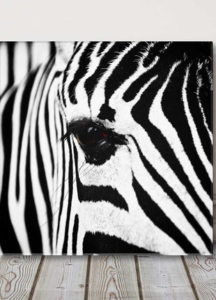 Zebra. Black and white canvas picture print Monochrome wall art.