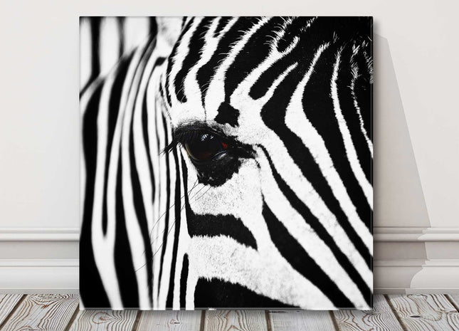 Zebra. Black and white canvas picture print Monochrome wall art.