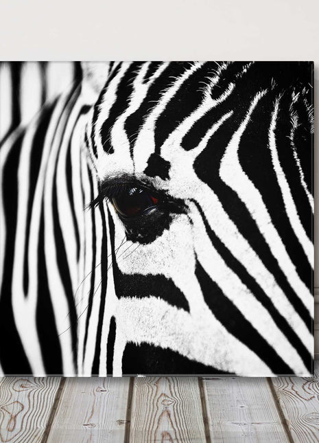 Zebra. Black and white canvas picture print Monochrome wall art.