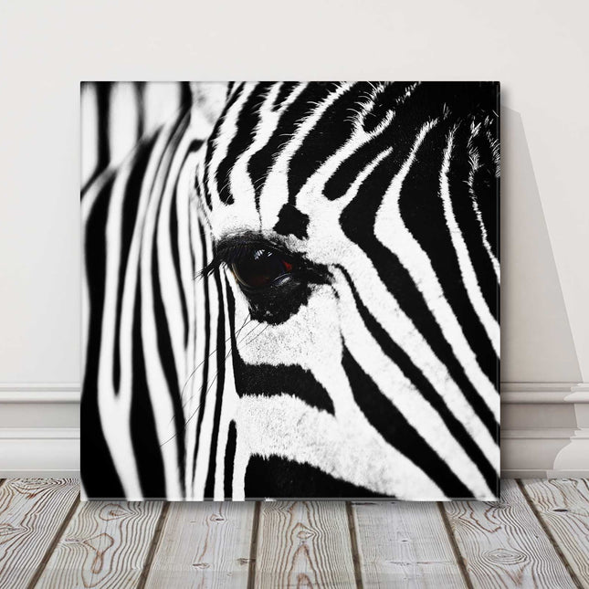 Zebra. Black and white canvas picture print Monochrome wall art.