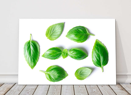basil leaves canvas picture print for kitchen green and white background