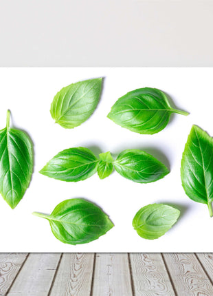 basil leaves canvas picture print for kitchen green and white background