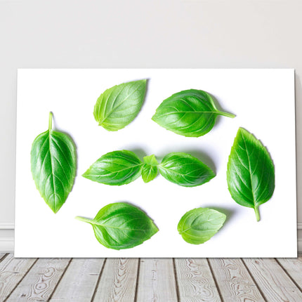 basil leaves canvas picture print for kitchen green and white background