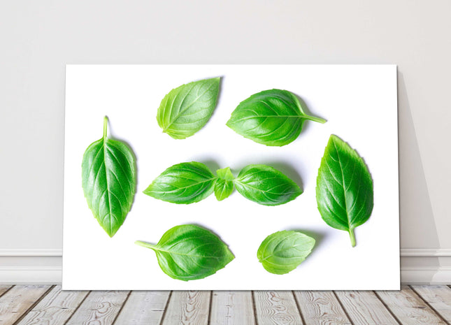 basil leaves canvas picture print for kitchen green and white background