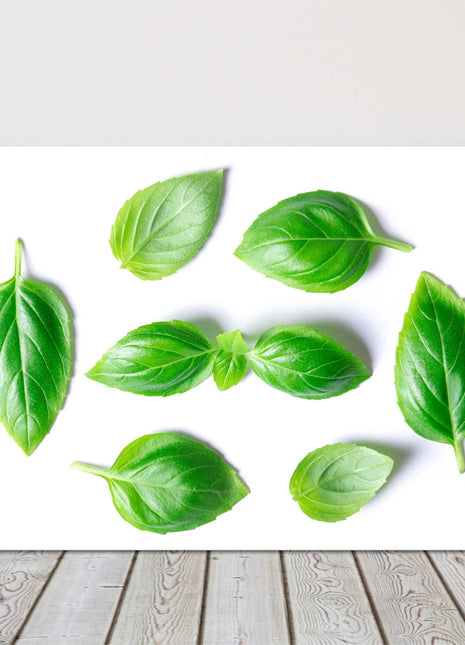 basil leaves canvas picture print for kitchen green and white background