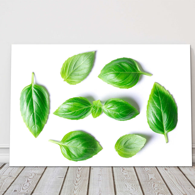 basil leaves canvas picture print for kitchen green and white background