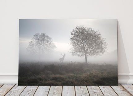 Deer Stag in the foggy Autumn countryside. Black and white canvas picture print