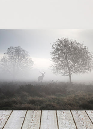 Deer Stag in the foggy Autumn countryside. Black and white canvas picture print