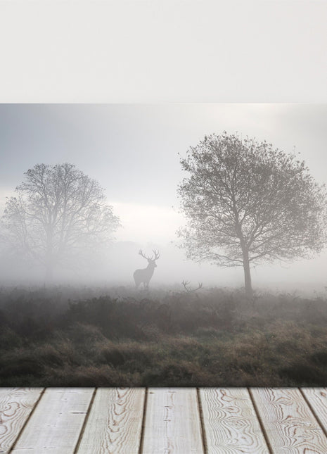 Deer Stag in the foggy Autumn countryside. Black and white canvas picture print