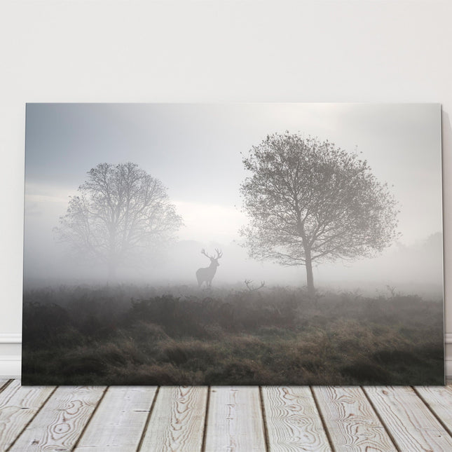 Deer Stag in the foggy Autumn countryside. Black and white canvas picture print