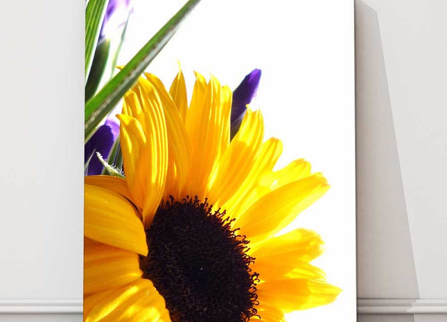 Sunflower canvas wall art. Printed and framed as a canvas picture.