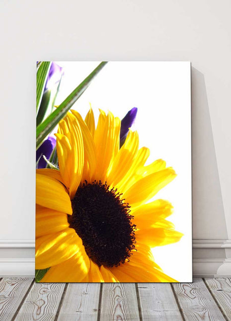 Sunflower canvas wall art. Printed and framed as a canvas picture.