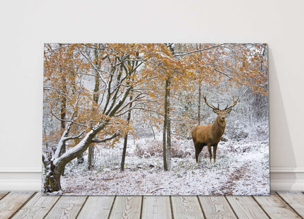 Winter scene with Stag in a snow covered forest. Printed canvas picture.