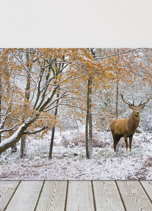 Winter scene with Stag in a snow covered forest. Printed canvas picture.