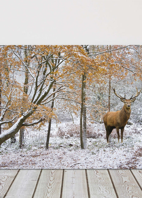 Winter scene with Stag in a snow covered forest. Printed canvas picture.